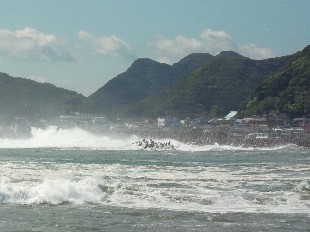 taifunoumi